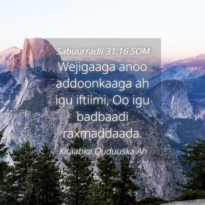Picture 04 - Sabuurradii 31:16 SOM - Wejigaaga anoo addoonkaaga ah igu iftiimi, Oo igu - Bible Verse Picture