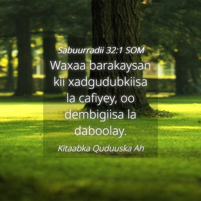 Picture 04 - Sabuurradii 32:1 SOM - Waxaa barakaysan kii xadgudubkiisa la cafiyey, oo - Bible Verse Picture