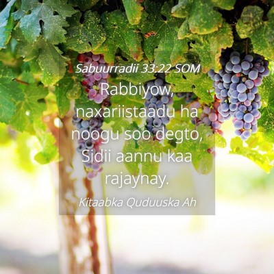 Picture 04 - Sabuurradii 33:22 SOM - Rabbiyow, naxariistaadu ha noogu soo degto, Sidii - Bible Verse Picture