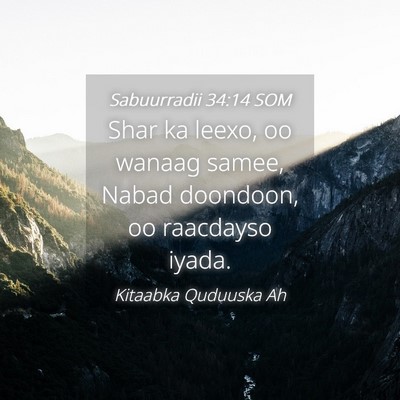 Picture 04 - Sabuurradii 34:14 SOM - Shar ka leexo, oo wanaag samee, Nabad doondoon, - Bible Verse Picture