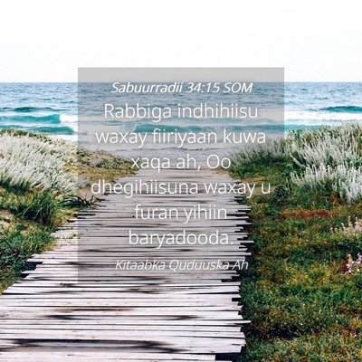 Picture 04 - Sabuurradii 34:15 SOM - Rabbiga indhihiisu waxay fiiriyaan kuwa xaqa ah, - Bible Verse Picture