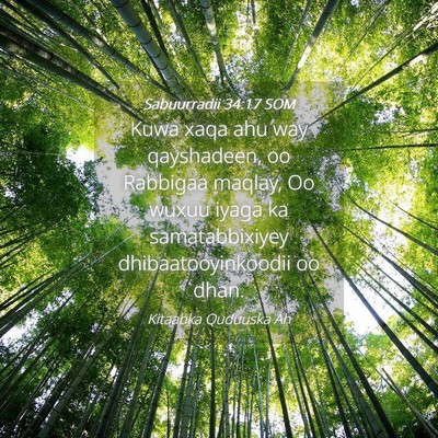 Picture 04 - Sabuurradii 34:17 SOM - Kuwa xaqa ahu way qayshadeen, oo Rabbigaa maqlay, - Bible Verse Picture