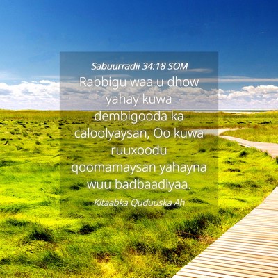 Picture 04 - Sabuurradii 34:18 SOM - Rabbigu waa u dhow yahay kuwa dembigooda ka - Bible Verse Picture