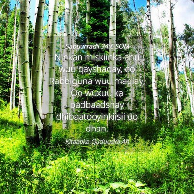 Picture 04 - Sabuurradii 34:6 SOM - Ninkan miskiinka ahu wuu qayshaday, oo Rabbiguna - Bible Verse Picture