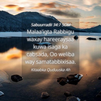 Picture 04 - Sabuurradii 34:7 SOM - Malaa'igta Rabbigu waxay hareeraysaa kuwa isaga - Bible Verse Picture
