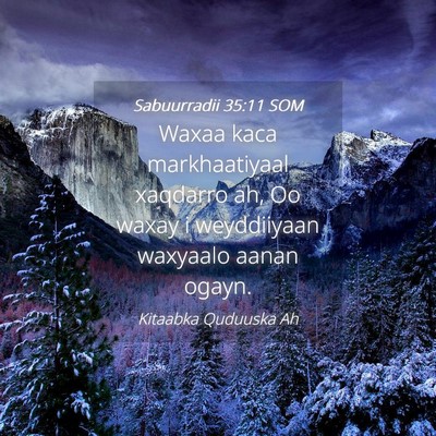 Picture 04 - Sabuurradii 35:11 SOM - Waxaa kaca markhaatiyaal xaqdarro ah, Oo waxay i - Bible Verse Picture