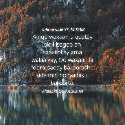 Picture 04 - Sabuurradii 35:14 SOM - Anigu waxaan u qaatay sidii isagoo ah saaxiibkay - Bible Verse Picture