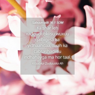 Picture 04 - Sabuurradii 36:1 SOM - Kii shar leh xadgudubkiisu wuxuu qalbigiisa ka - Bible Verse Picture