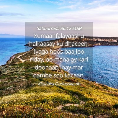 Picture 04 - Sabuurradii 36:12 SOM - Xumaanfalayaashu halkaasay ku dhaceen, Iyaga hoos - Bible Verse Picture