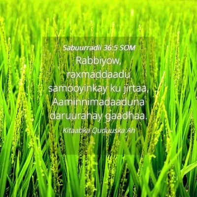 Picture 04 - Sabuurradii 36:5 SOM - Rabbiyow, raxmaddaadu samooyinkay ku jirtaa, - Bible Verse Picture