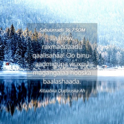 Picture 04 - Sabuurradii 36:7 SOM - Ilaahow, raxmaddaadu qaalisanaa! Oo - Bible Verse Picture