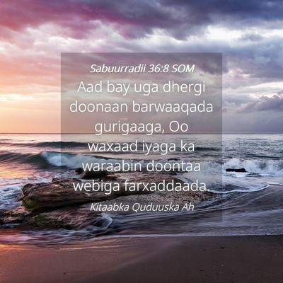 Picture 04 - Sabuurradii 36:8 SOM - Aad bay uga dhergi doonaan barwaaqada gurigaaga, - Bible Verse Picture