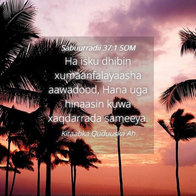 Picture 04 - Sabuurradii 37:1 SOM - Ha isku dhibin xumaanfalayaasha aawadood, Hana - Bible Verse Picture