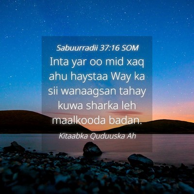 Picture 04 - Sabuurradii 37:16 SOM - Inta yar oo mid xaq ahu haystaa Way ka sii - Bible Verse Picture