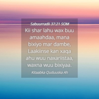 Picture 04 - Sabuurradii 37:21 SOM - Kii shar lahu wax buu amaahdaa, mana bixiyo mar - Bible Verse Picture
