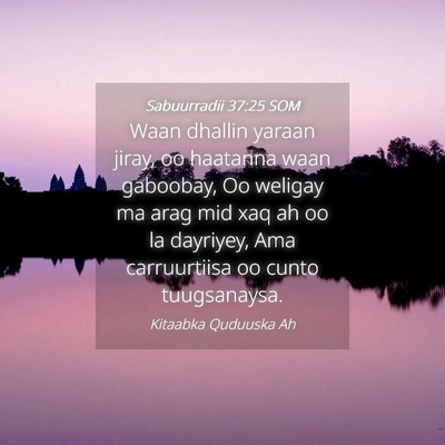 Picture 04 - Sabuurradii 37:25 SOM - Waan dhallin yaraan jiray, oo haatanna waan - Bible Verse Picture