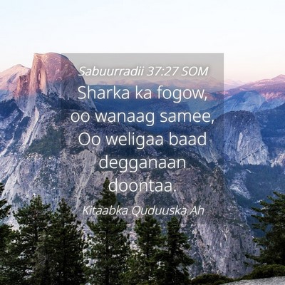 Picture 04 - Sabuurradii 37:27 SOM - Sharka ka fogow, oo wanaag samee, Oo weligaa baad - Bible Verse Picture