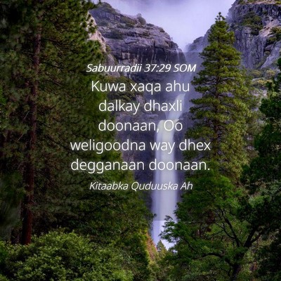 Picture 04 - Sabuurradii 37:29 SOM - Kuwa xaqa ahu dalkay dhaxli doonaan, Oo - Bible Verse Picture