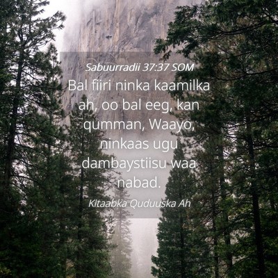 Picture 04 - Sabuurradii 37:37 SOM - Bal fiiri ninka kaamilka ah, oo bal eeg, kan - Bible Verse Picture