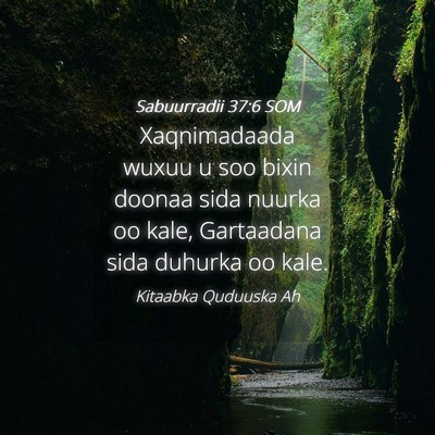 Picture 04 - Sabuurradii 37:6 SOM - Xaqnimadaada wuxuu u soo bixin doonaa sida nuurka - Bible Verse Picture