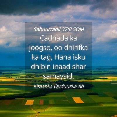 Picture 04 - Sabuurradii 37:8 SOM - Cadhada ka joogso, oo dhirifka ka tag, Hana isku - Bible Verse Picture