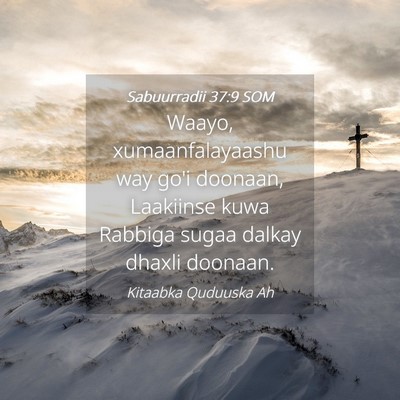 Picture 04 - Sabuurradii 37:9 SOM - Waayo, xumaanfalayaashu way go'i doonaan, - Bible Verse Picture