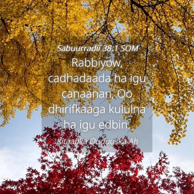 Picture 04 - Sabuurradii 38:1 SOM - Rabbiyow, cadhadaada ha igu canaanan, Oo - Bible Verse Picture