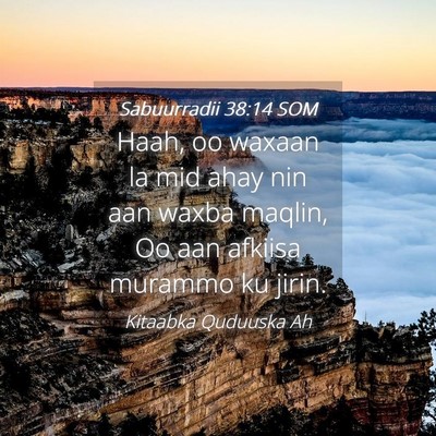 Picture 04 - Sabuurradii 38:14 SOM - Haah, oo waxaan la mid ahay nin aan waxba maqlin, - Bible Verse Picture