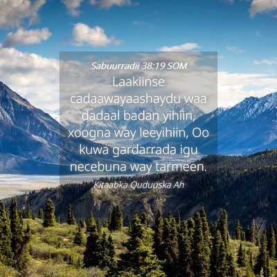 Picture 04 - Sabuurradii 38:19 SOM - Laakiinse cadaawayaashaydu waa dadaal badan - Bible Verse Picture