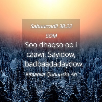 Picture 04 - Sabuurradii 38:22 SOM - Soo dhaqso oo i caawi, Sayidow, - Bible Verse Picture
