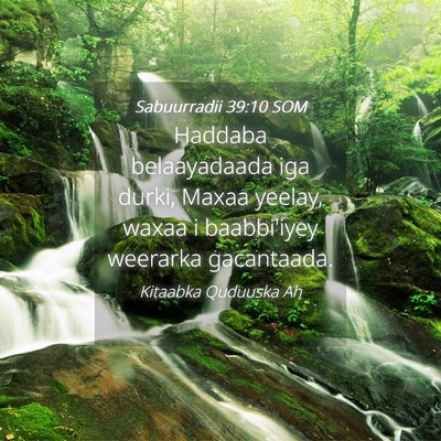 Picture 04 - Sabuurradii 39:10 SOM - Haddaba belaayadaada iga durki, Maxaa yeelay, - Bible Verse Picture
