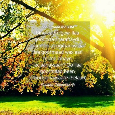 Picture 04 - Sabuurradii 4:2 SOM - Binu-aadmigow, ilaa goormaa sharaftaydu sharafjab - Bible Verse Picture