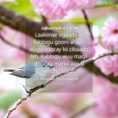 Picture 04 - Sabuurradii 4:3 SOM - Laakiinse ogaada in Rabbigu gooni ahaan isugu - Bible Verse Picture