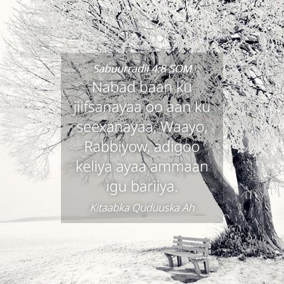 Picture 04 - Sabuurradii 4:8 SOM - Nabad baan ku jiifsanayaa oo aan ku seexanayaa, - Bible Verse Picture