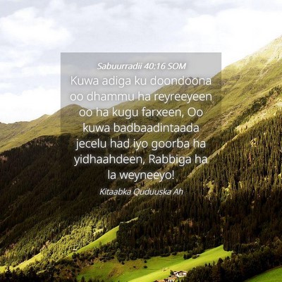 Picture 04 - Sabuurradii 40:16 SOM - Kuwa adiga ku doondoona oo dhammu ha reyreeyeen - Bible Verse Picture