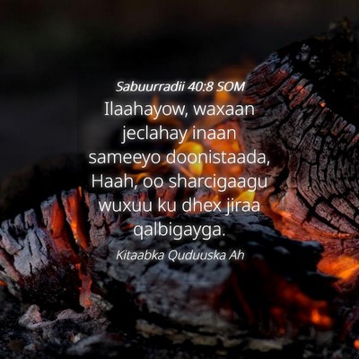 Picture 04 - Sabuurradii 40:8 SOM - Ilaahayow, waxaan jeclahay inaan sameeyo - Bible Verse Picture