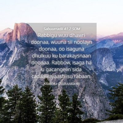 Picture 04 - Sabuurradii 41:2 SOM - Rabbigu wuu dhawri doonaa, wuuna sii noolayn - Bible Verse Picture