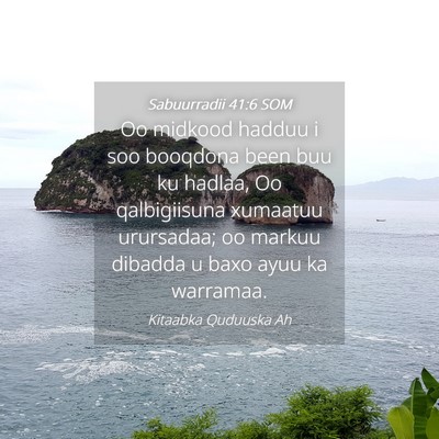 Picture 04 - Sabuurradii 41:6 SOM - Oo midkood hadduu i soo booqdona been buu ku - Bible Verse Picture