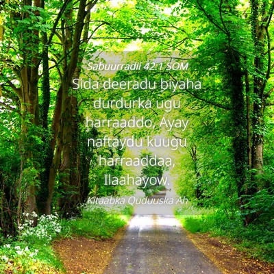 Picture 04 - Sabuurradii 42:1 SOM - Sida deeradu biyaha durdurka ugu harraaddo, Ayay - Bible Verse Picture