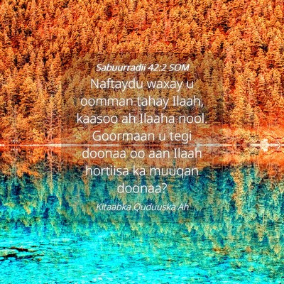 Picture 04 - Sabuurradii 42:2 SOM - Naftaydu waxay u oomman tahay Ilaah, kaasoo ah - Bible Verse Picture