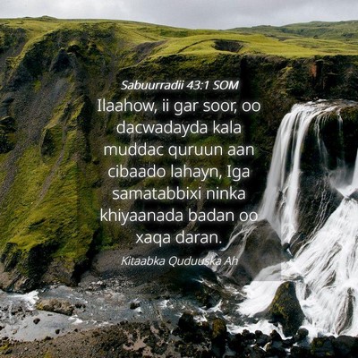Picture 04 - Sabuurradii 43:1 SOM - Ilaahow, ii gar soor, oo dacwadayda kala muddac - Bible Verse Picture