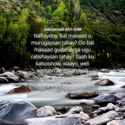 Picture 04 - Sabuurradii 43:5 SOM - Naftaydoy, bal maxaad u murugaysan tahay? Oo bal - Bible Verse Picture