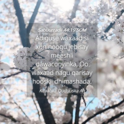 Picture 04 - Sabuurradii 44:19 SOM - Adiguse waxaad si xun noogu jebisay meeshii - Bible Verse Picture