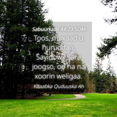 Picture 04 - Sabuurradii 44:23 SOM - Toos, maxaad u huruddaa, Sayidow? Sara joogso, oo - Bible Verse Picture