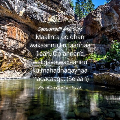 Picture 04 - Sabuurradii 44:8 SOM - Maalinta oo dhan waxaannu ku faannaa Ilaah, Oo - Bible Verse Picture