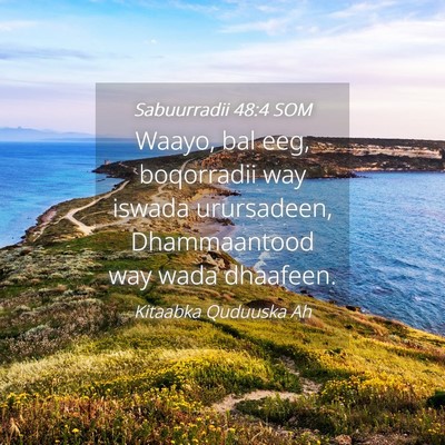 Picture 04 - Sabuurradii 48:4 SOM - Waayo, bal eeg, boqorradii way iswada urursadeen, - Bible Verse Picture