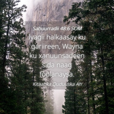 Picture 04 - Sabuurradii 48:6 SOM - Iyagii halkaasay ku gariireen, Wayna ku - Bible Verse Picture