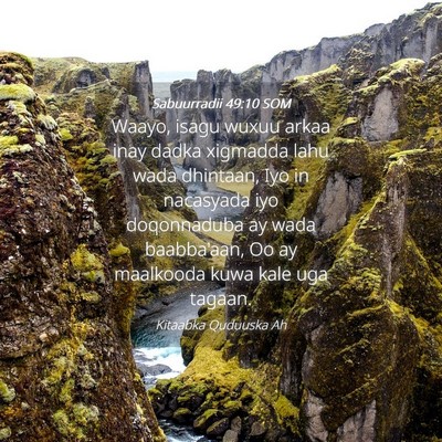 Picture 04 - Sabuurradii 49:10 SOM - Waayo, isagu wuxuu arkaa inay dadka xigmadda lahu - Bible Verse Picture
