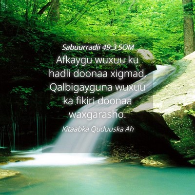 Picture 04 - Sabuurradii 49:3 SOM - Afkaygu wuxuu ku hadli doonaa xigmad, - Bible Verse Picture
