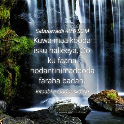 Picture 04 - Sabuurradii 49:6 SOM - Kuwa maalkooda isku halleeya, Oo ku faana - Bible Verse Picture